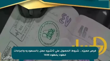 فرص مميزة.. شروط الحصول على تأشيرة عمل بالسعودية وإجراءات خطوة بخطوة 1446